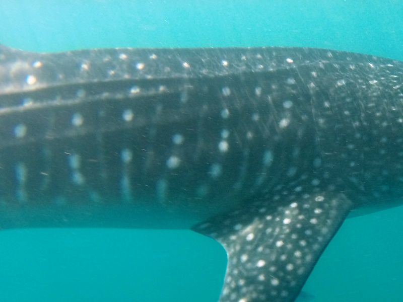 a0846434-7871-4a38-af2a-cc37c119bca8