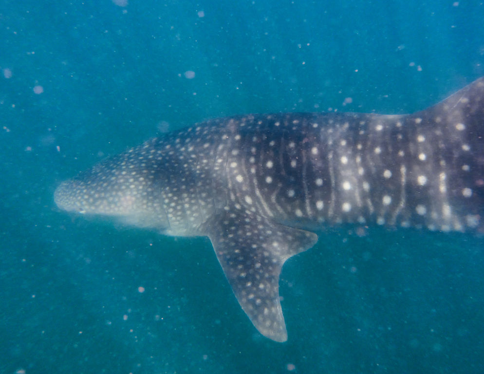 bea6ad4a-d528-4d50-939f-9651626160ac