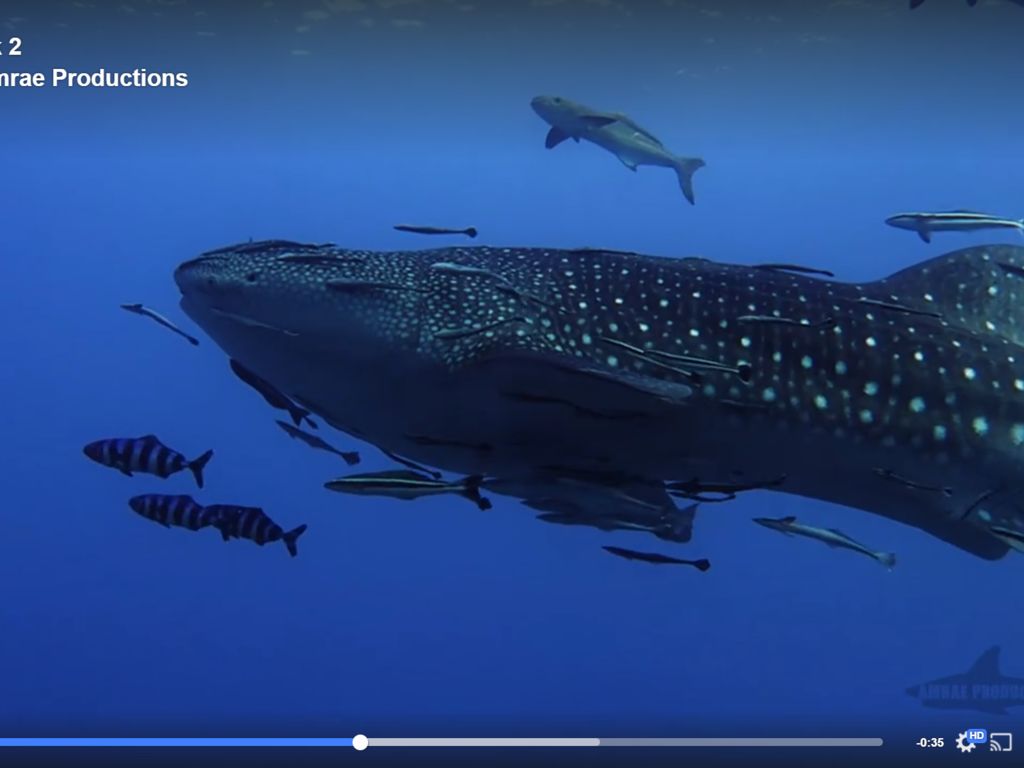 8a0c3841-dd8e-4af8-b0da-efe3c6fccbca