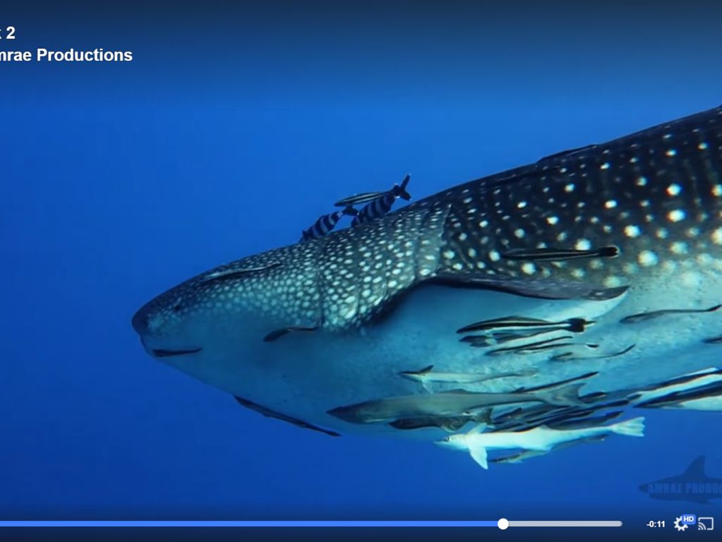 8a0c3841-dd8e-4af8-b0da-efe3c6fccbca