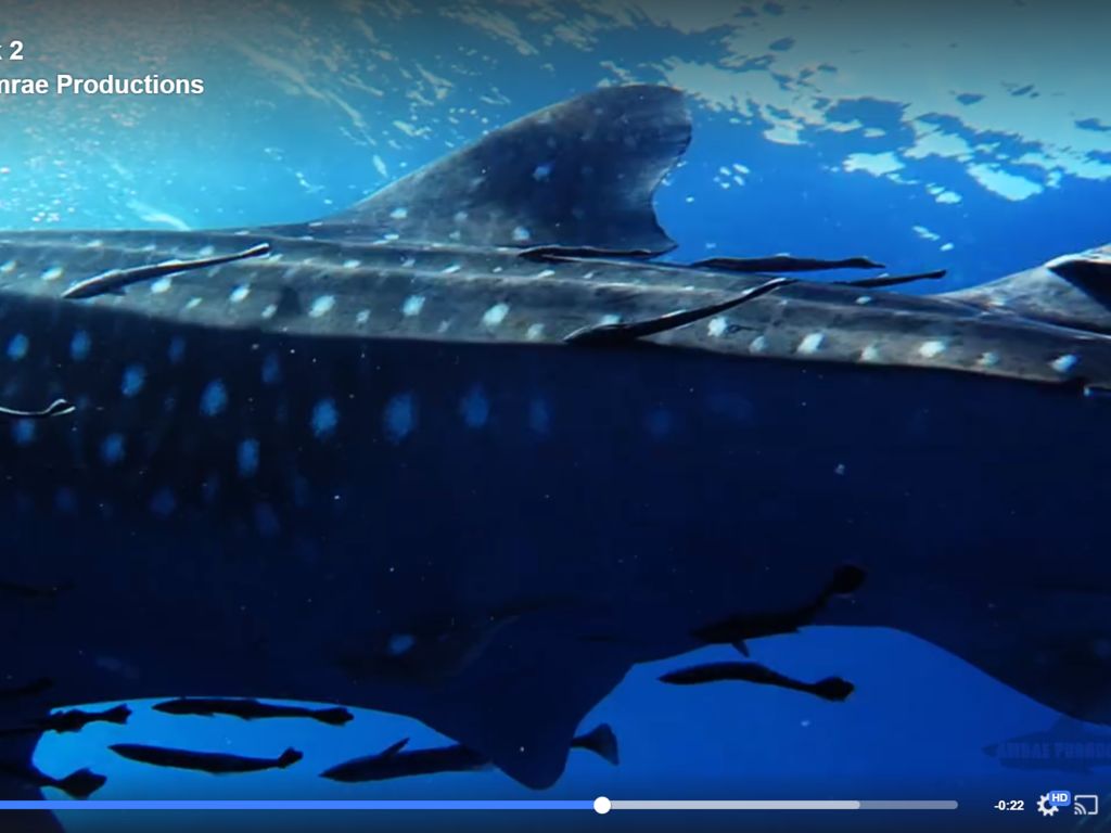 8a0c3841-dd8e-4af8-b0da-efe3c6fccbca