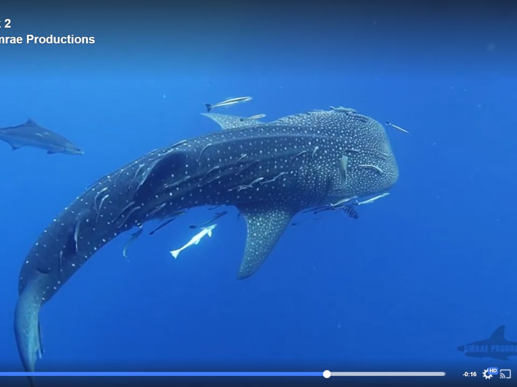 8a0c3841-dd8e-4af8-b0da-efe3c6fccbca