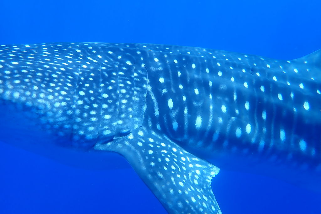 d7d12224-0b91-42cb-9275-c93cfdaa9e63