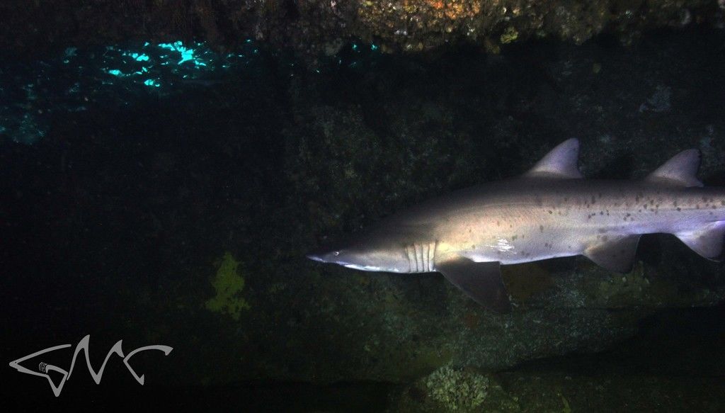 07b0ba96-5e7b-41cd-b957-cf7259ef9e76