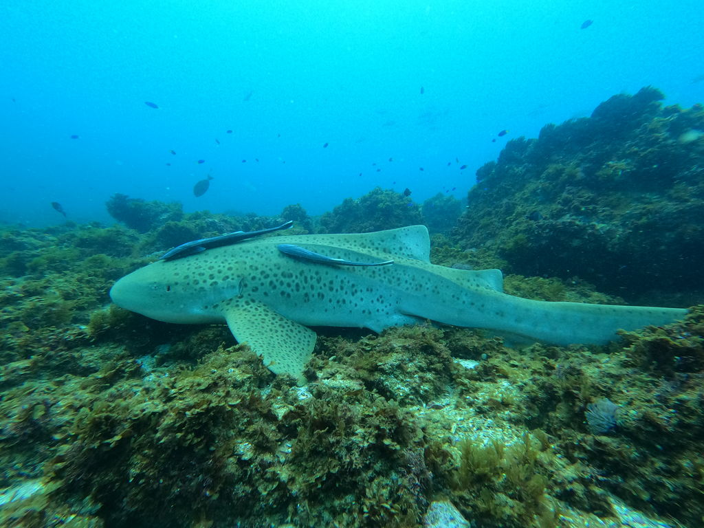 f1b2c74f-49a3-4609-8ec2-1e26f59b9bc1