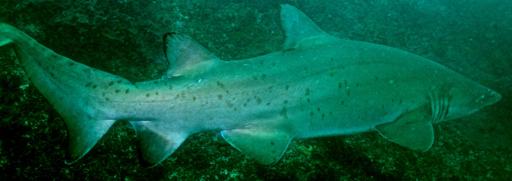 1353deaf-d9c8-4315-952b-eeda012abf39