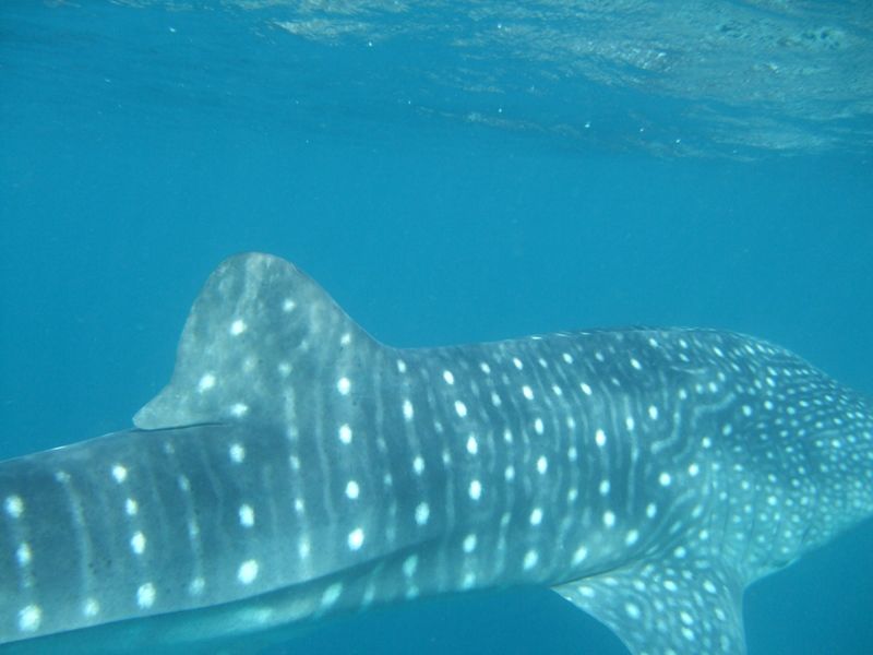 e0f23c64-2dbb-4b53-9abf-eb703e98c0ff