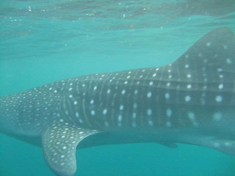 e0f23c64-2dbb-4b53-9abf-eb703e98c0ff