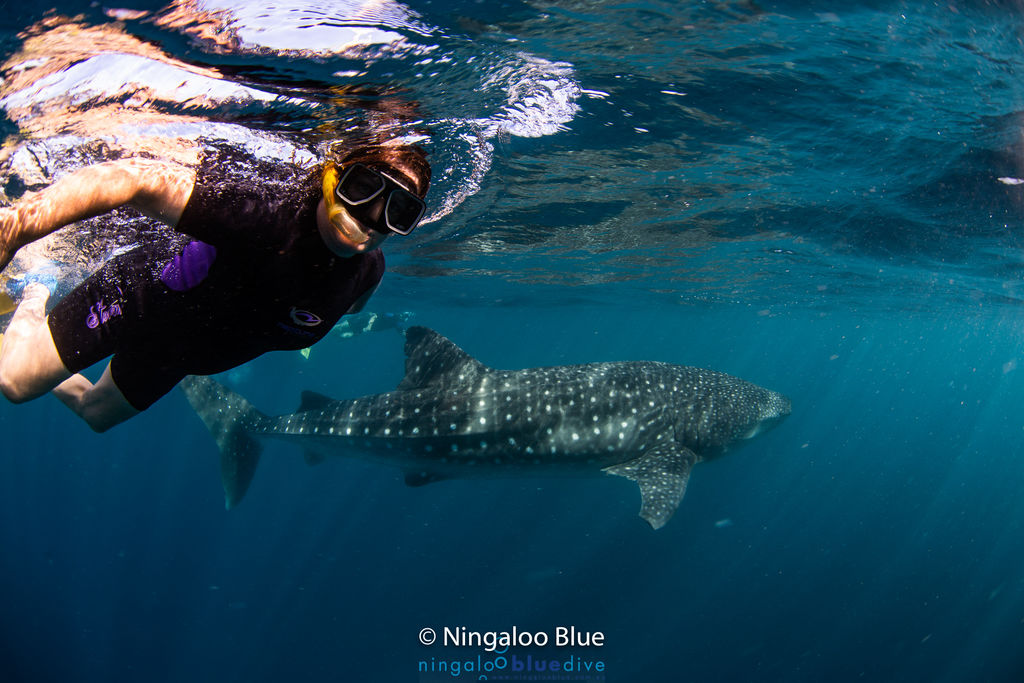 5bae4f64-822e-4ec8-be13-48621be3f243