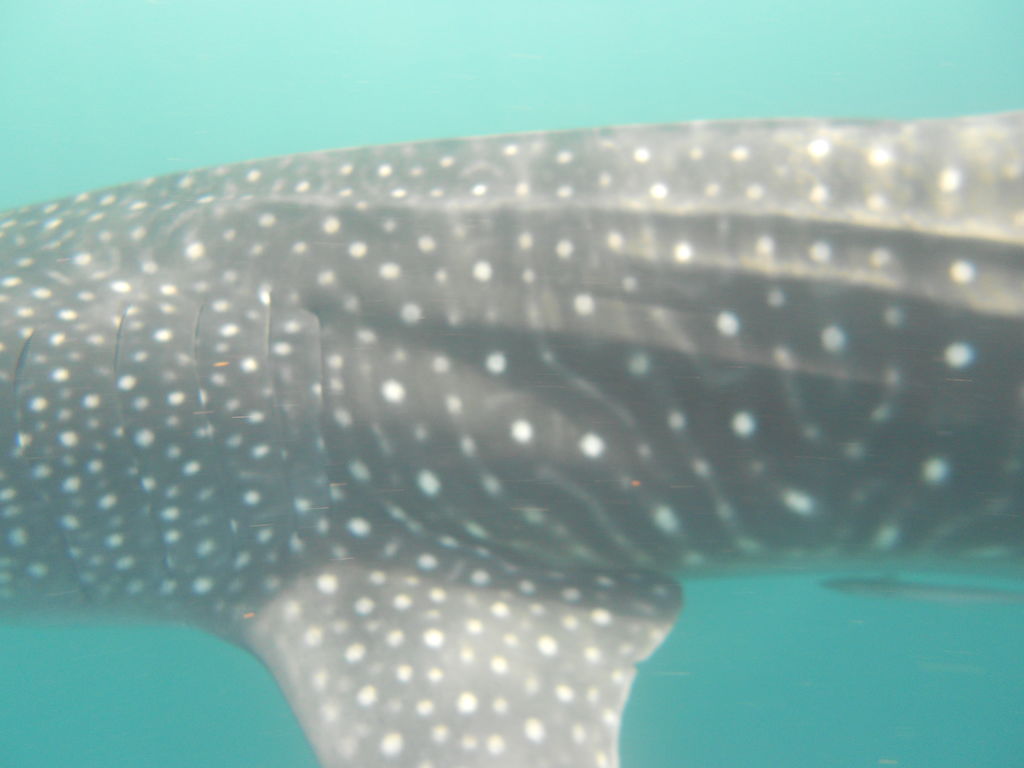 0b90efe9-1113-4831-a6dd-14776955c7aa