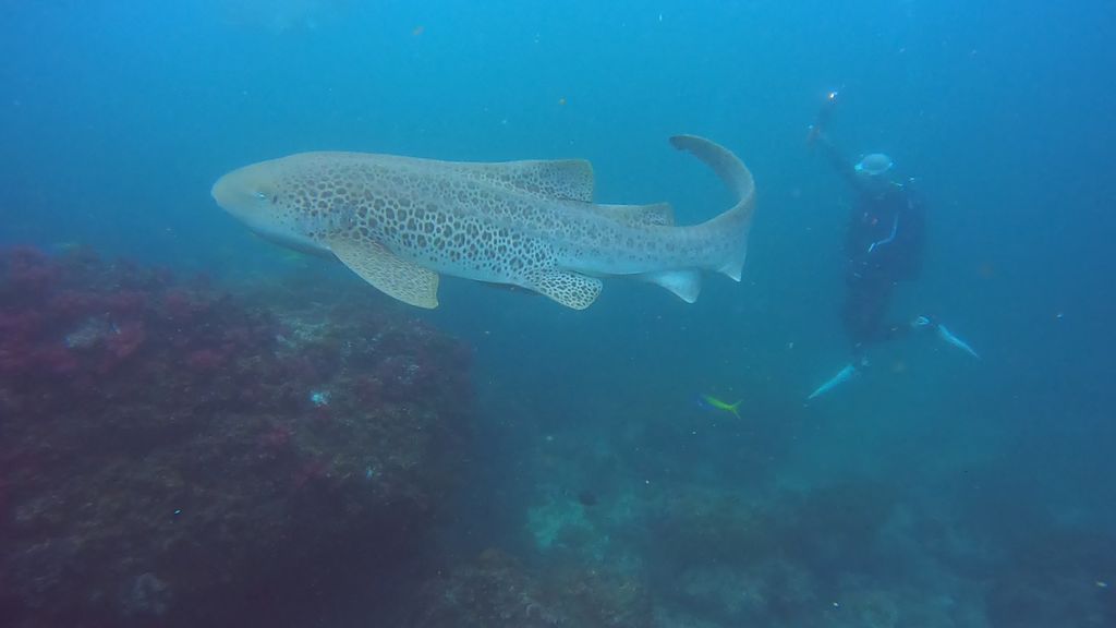 0fe94eda-f944-4ac2-b006-76e240ac5079