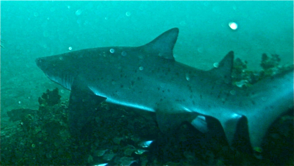 395c8cd6-36ad-4a1a-ae0d-2e699decaa5d