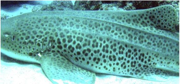 390fdfa4-0884-42f7-8d91-d5f0ded5a047