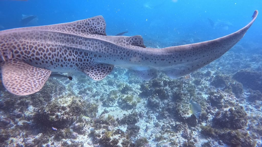 e42ffd1f-b25f-4f48-9209-b5b5a3ef7f56