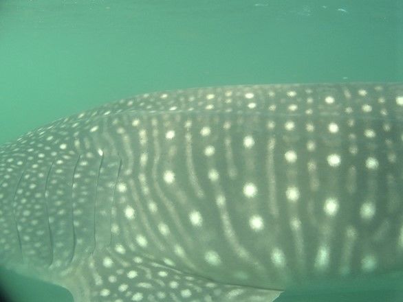 d49bfc4e-37ca-47f7-951a-42db46873431