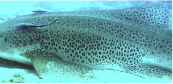 8e2f7691-b6c9-4315-b72e-a2e885de54dd