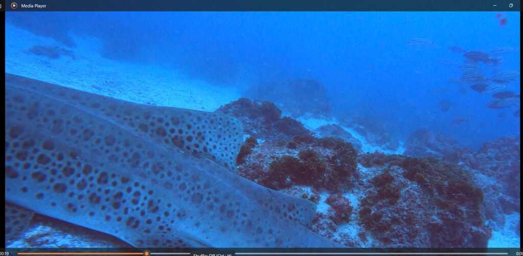 f09d9870-7c79-4cf2-b71c-9cd222186569