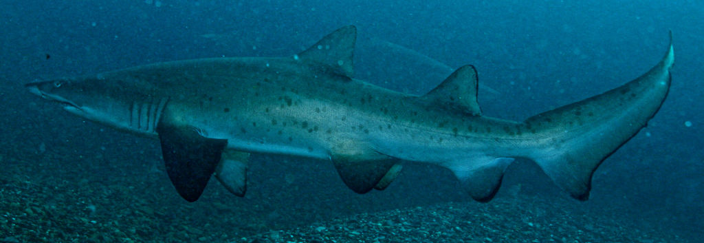 1bd7d400-f48d-49d7-a0d0-b65ca2cec99b