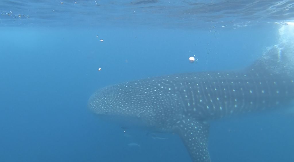 77134333-cc8f-47bc-b79e-42da881181f1