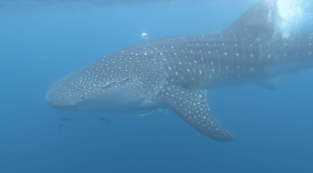 77134333-cc8f-47bc-b79e-42da881181f1