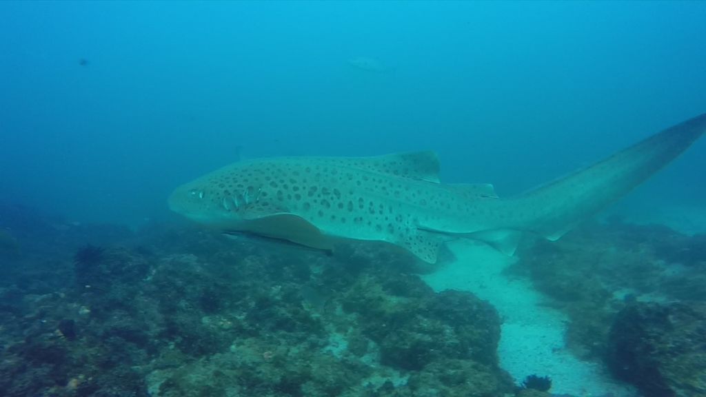 faaa9761-49e9-4217-bdb9-4e0ac8b228e1