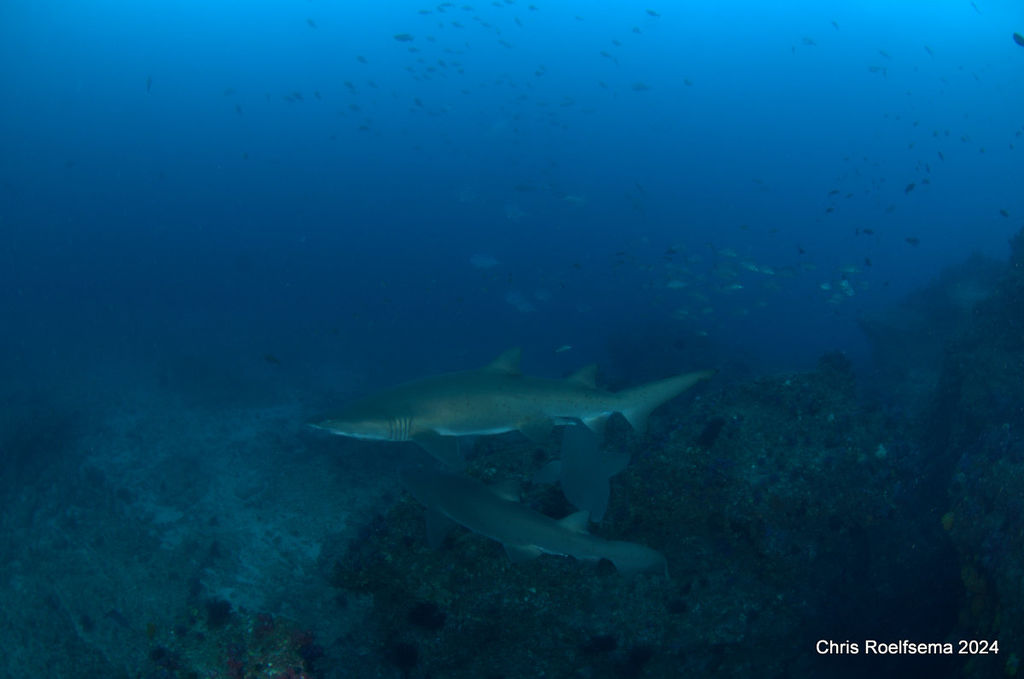 75e921fa-f056-4fce-bd79-986d7184fdbf