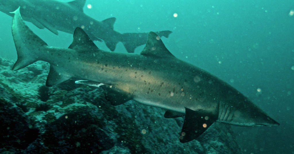 d4a960f8-d018-46d3-9fd6-4ac1a8eb77ad