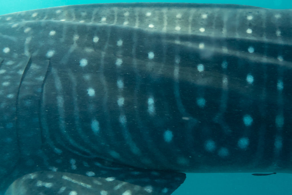 39292beb-132f-4beb-bdaf-7c8606a0a620