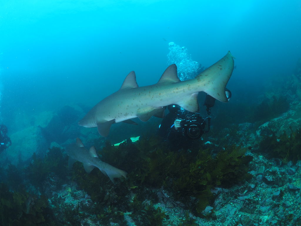 79e877b6-09cd-4d3e-ad1a-dd4347172f8e