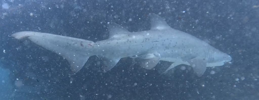 86e5a7f4-8bff-4379-8437-6ef11b5ff6b9