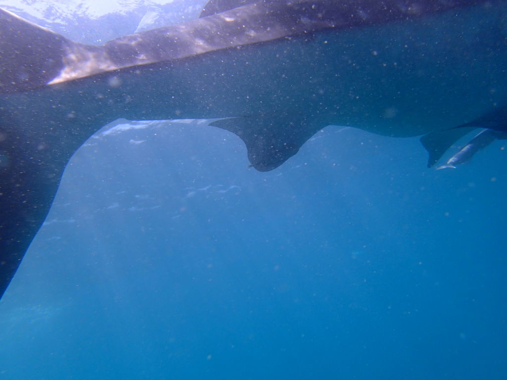 f2fb85d5-501e-4119-b05b-52272f4d29e1