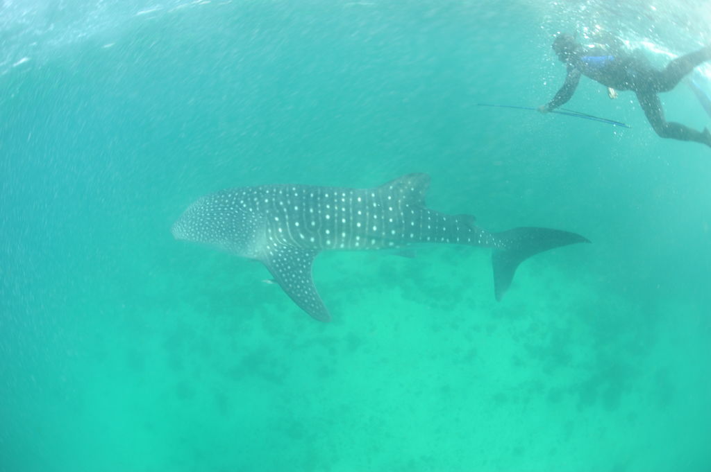 8c90a728-206f-439d-9e9f-c95d2085ba22