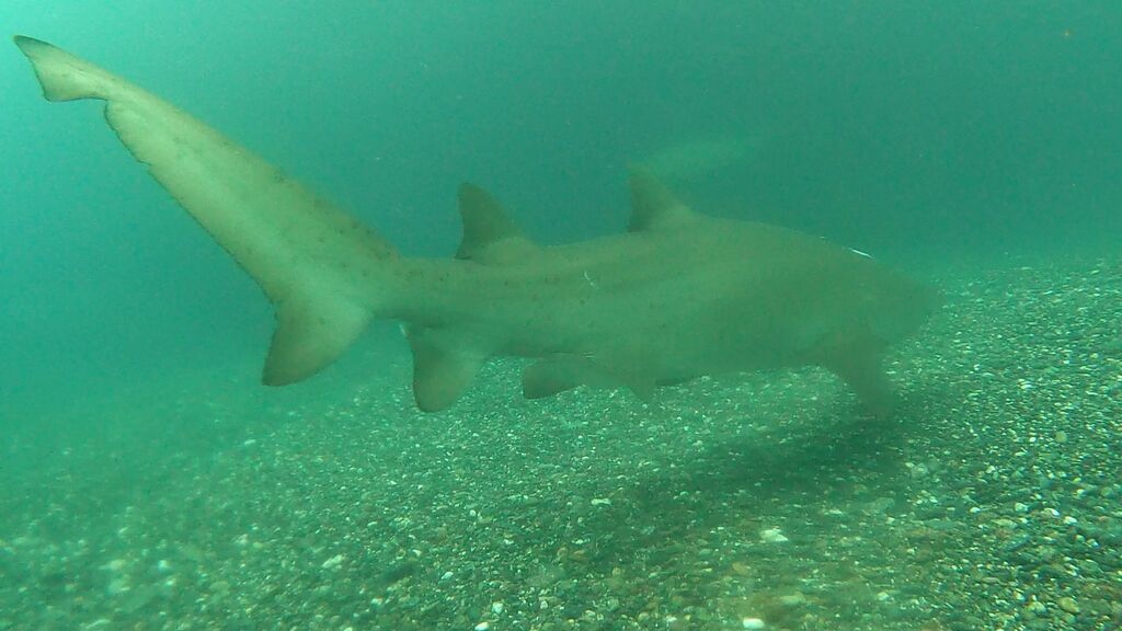 9e2c5d44-7d5f-4ed1-9cb3-5bac88e456c2