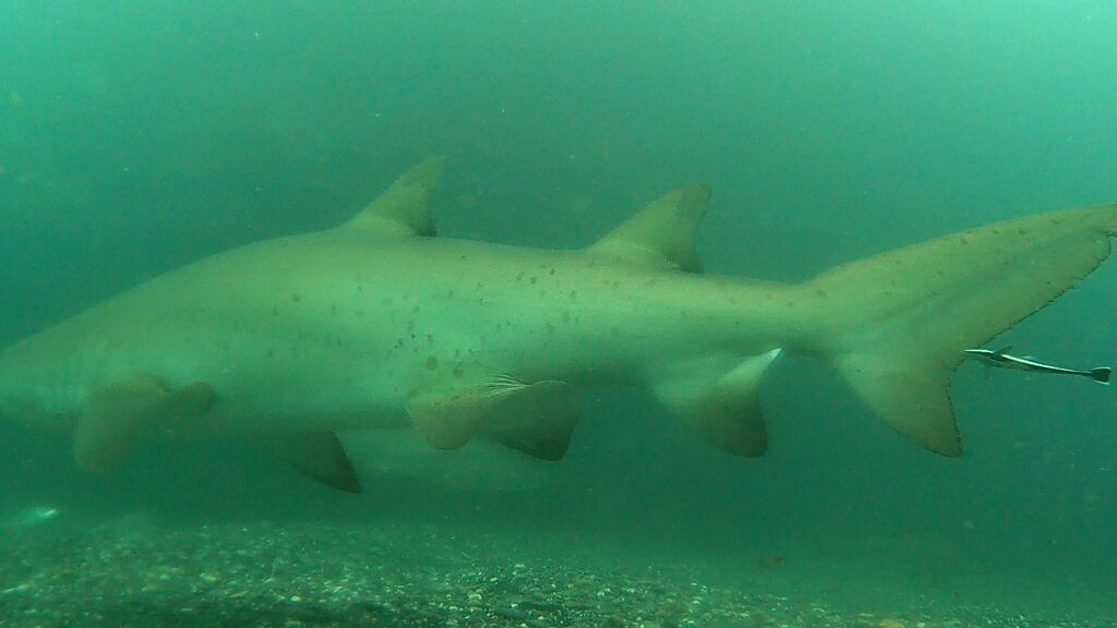 9e2c5d44-7d5f-4ed1-9cb3-5bac88e456c2