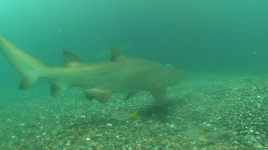 9e2c5d44-7d5f-4ed1-9cb3-5bac88e456c2