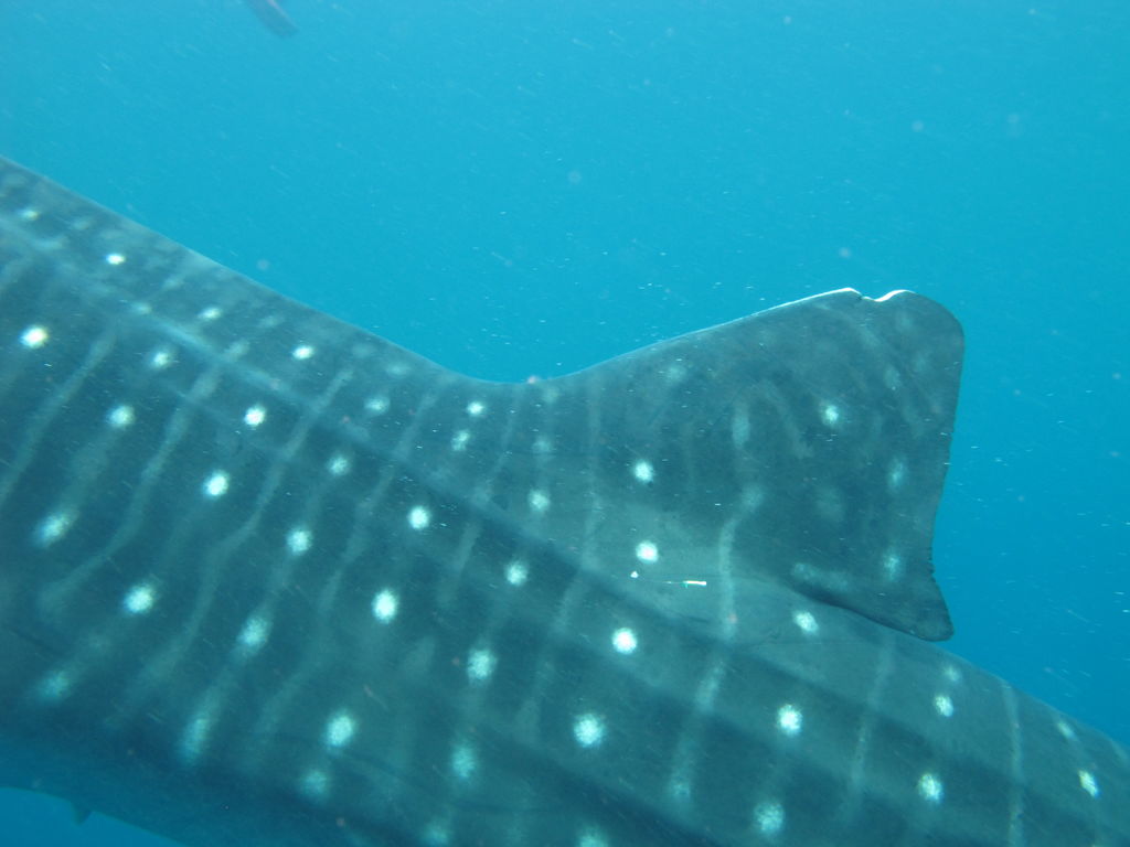 0909865f-bdc0-42ec-83b1-5f112c393c48