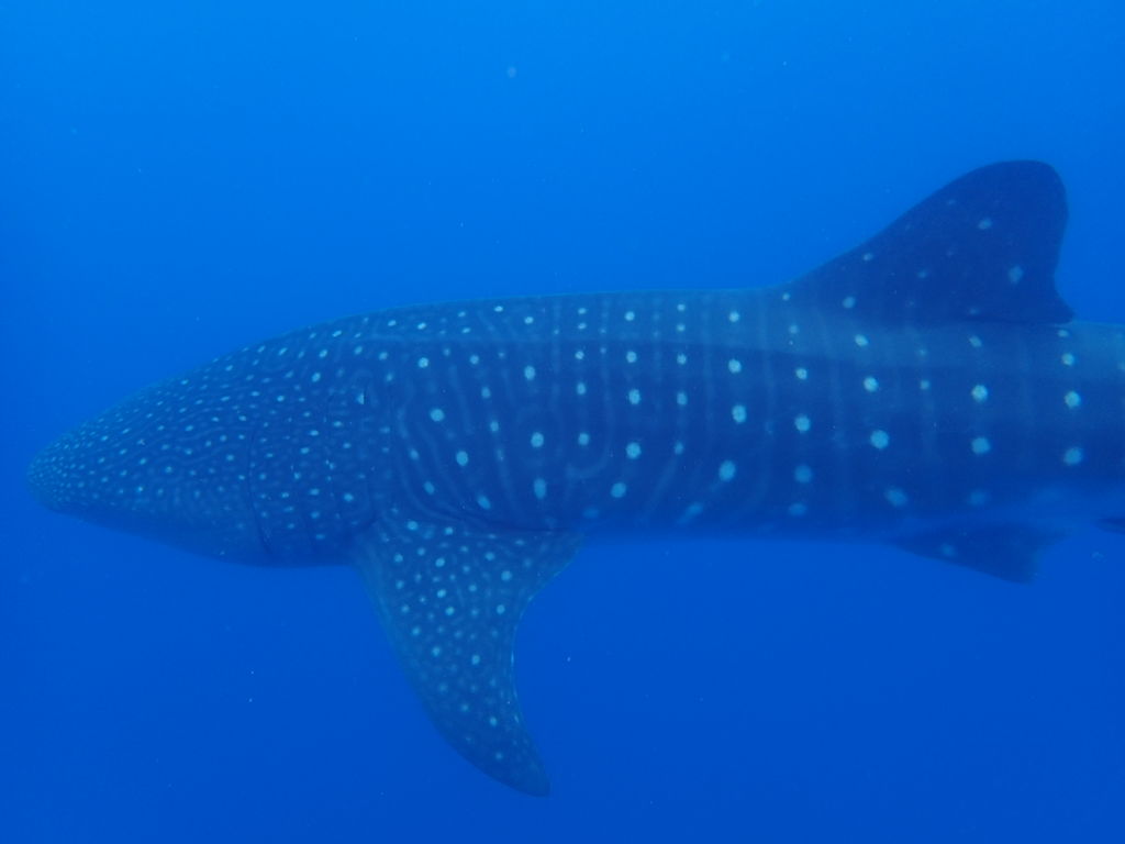 07daa8f4-83af-47d6-b94a-251f5721ebcf