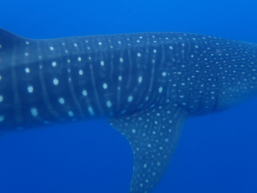 07daa8f4-83af-47d6-b94a-251f5721ebcf