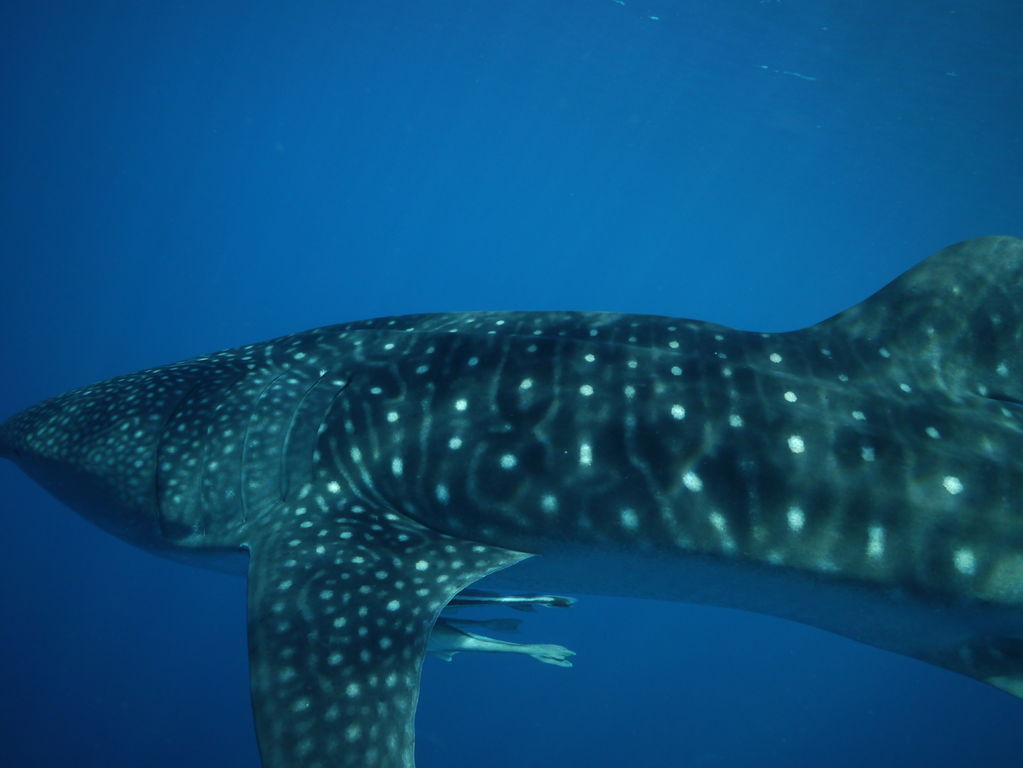 0b8cdb31-cc19-4fcd-848b-7dc49a7bdaf1