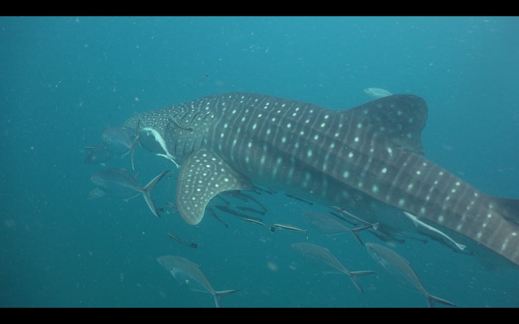 40eca1ae-04a2-4b7b-8fd8-ecb3665cf401