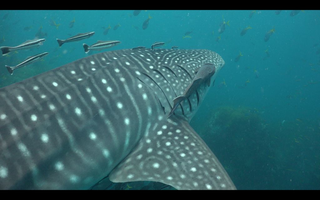 40eca1ae-04a2-4b7b-8fd8-ecb3665cf401