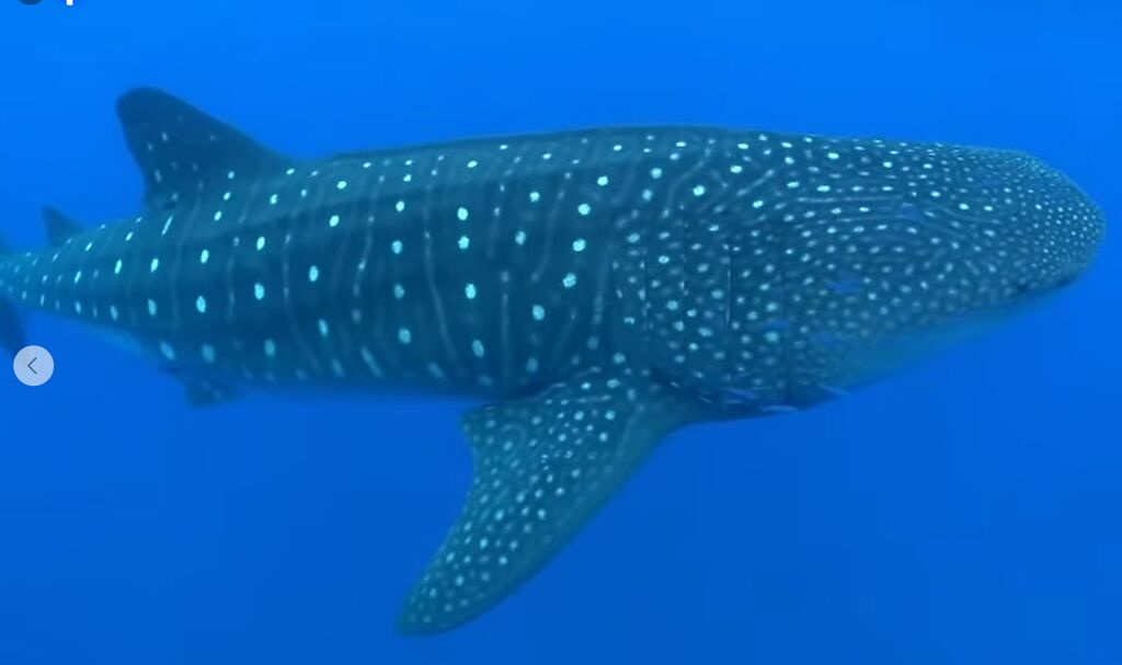 aa7a6073-aad7-4505-b757-9c3948f5a9bd