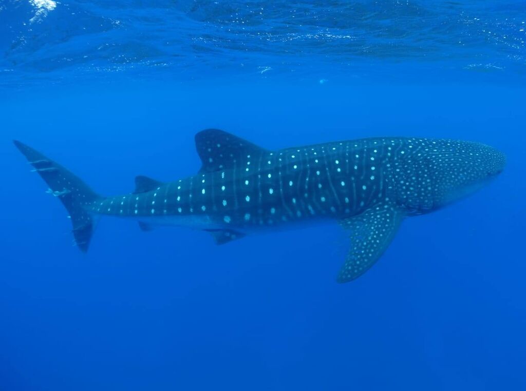 aa7a6073-aad7-4505-b757-9c3948f5a9bd