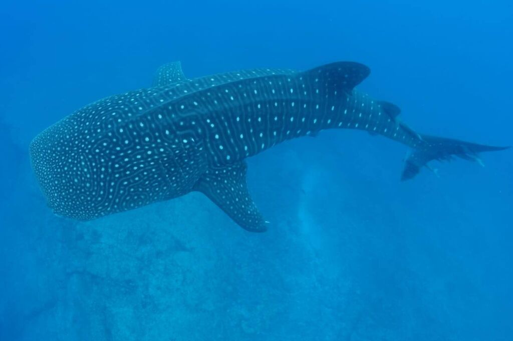 aa7a6073-aad7-4505-b757-9c3948f5a9bd