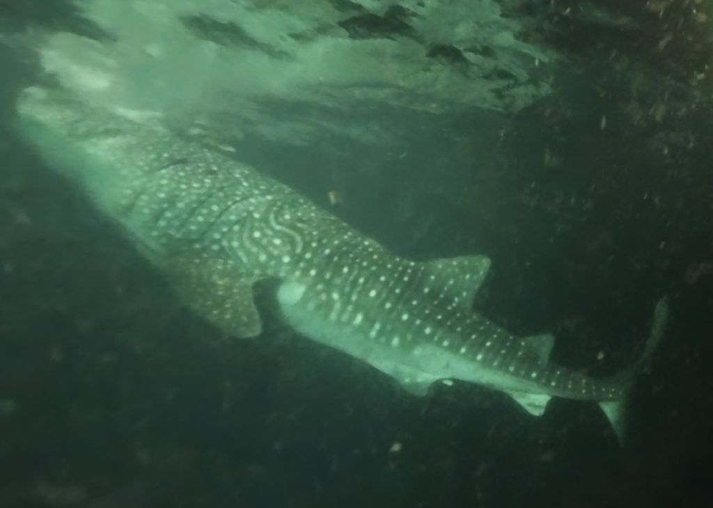 2307868c-6d50-48b6-95ee-a0a876fe81f7