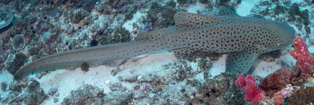 994a9cfa-3ed6-41aa-9663-9efef2959478