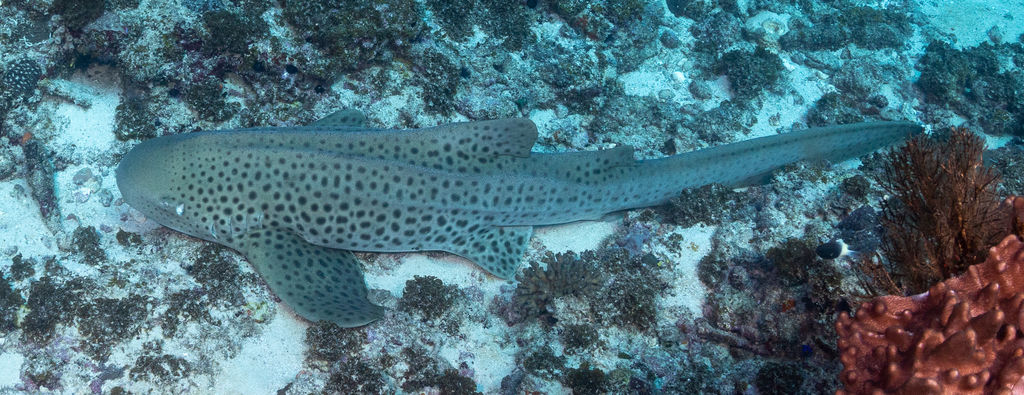 994a9cfa-3ed6-41aa-9663-9efef2959478