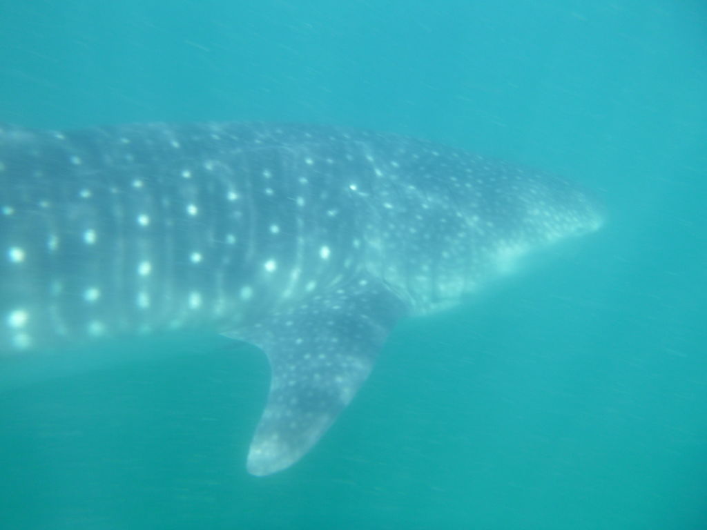 5667f829-42b1-4dd1-8efd-85d22d14f3b2