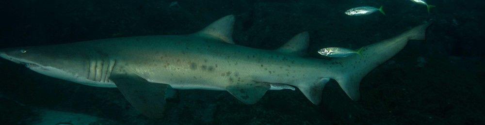 886e36b0-328e-496e-8da6-6f3c76ba0c91