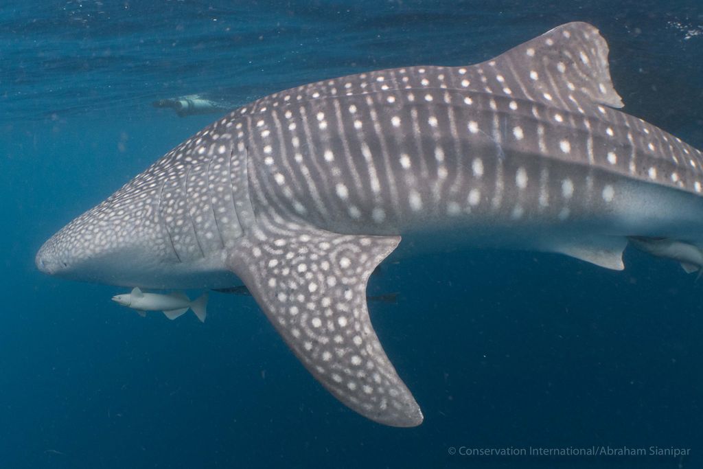 6beb0e79-5eaf-46bd-bbaf-de2469d02914